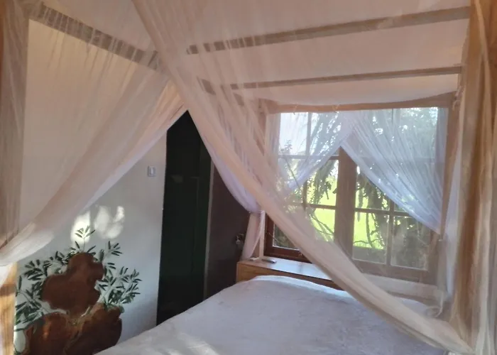 Vakantiehuis Paradise - 3 Bedrooms